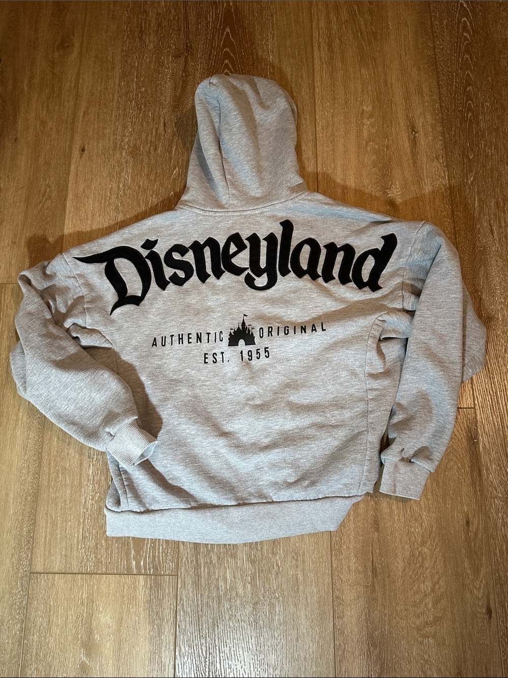 Disney Parks 2023 Disneyland Authentic Est. 1955 Zip Up